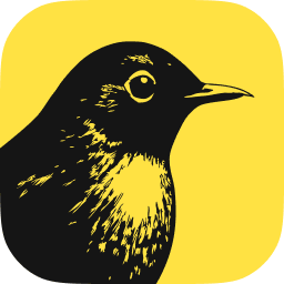 b-rch-formerly-revealbot logo