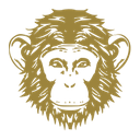 Omneky logo