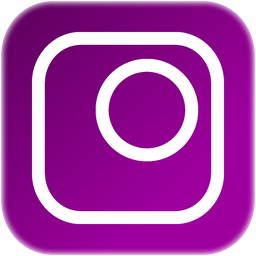 Stil Cam logo